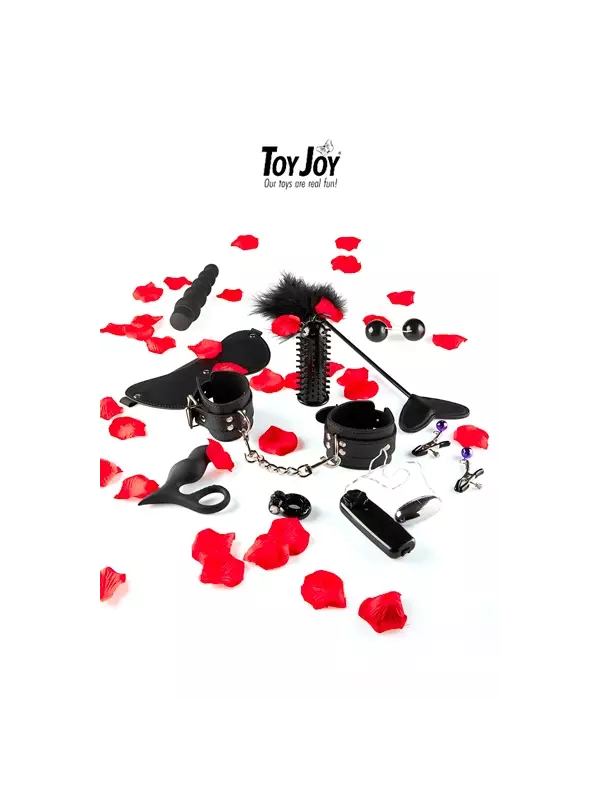 Lovetoy starter kit