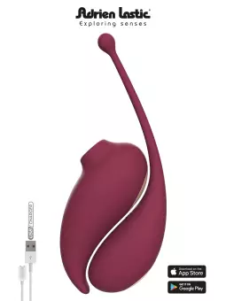 Oeuf vibrant et stimulateur clitoridien connectés - Inspiration