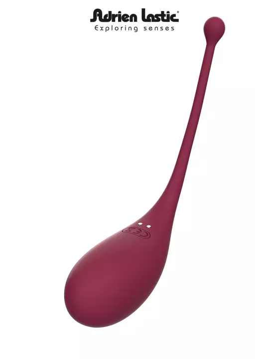 Oeuf vibrant et stimulateur clitoridien connectés - Inspiration