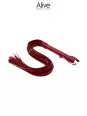 Fouet rouge - Alive Fouet rouge - Alive