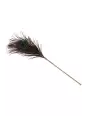 Plumeau à caresses Peacock Tickler - Taboom Plumeau à caresses Peacock Tickler - Taboom