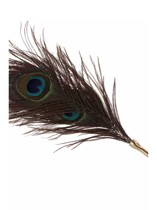 Plumeau à caresses Peacock Tickler - Taboom Plumeau à caresses Peacock Tickler - Taboom