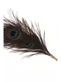 Plumeau à caresses Peacock Tickler - Taboom Plumeau à caresses Peacock Tickler - Taboom