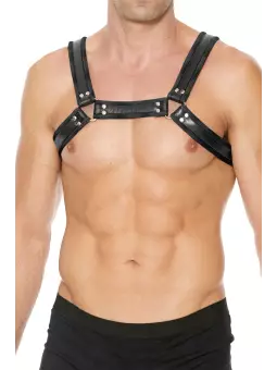 Harnais Buckle Bulldog noir - Ouch!