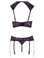 Ensemble lingerie ouverte violet - Cotelli Lingerie Ensemble lingerie ouverte violet - Cotelli Lingerie