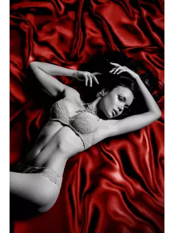 Drap Vinyle rouge 220 x 200 cm - Fetish Tentation