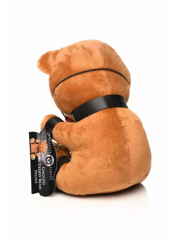 Ours en peluche bâillonné